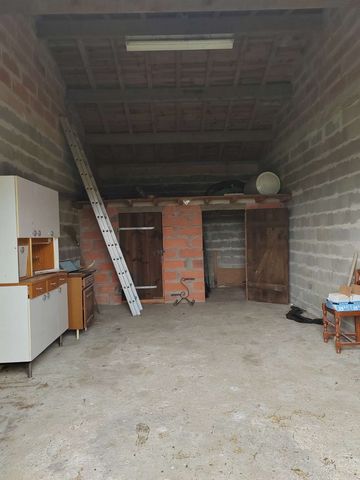 photo no. 3