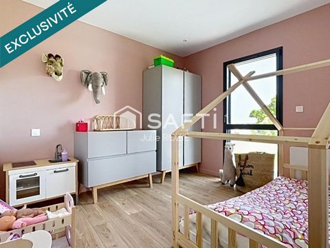 photo no. 12