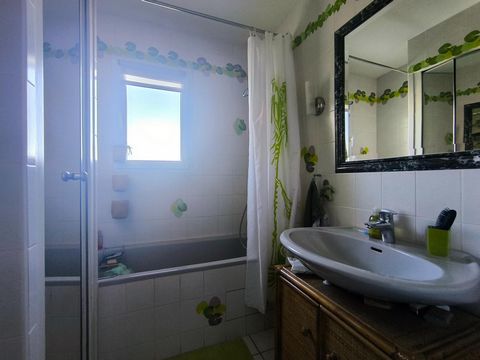 photo no. 13