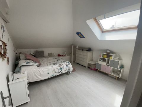 photo no. 12