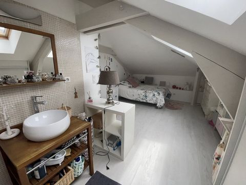 photo no. 13
