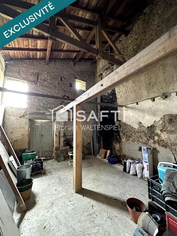 photo no. 11