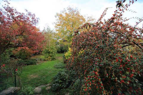 photo no. 31