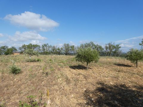 photo no. 3