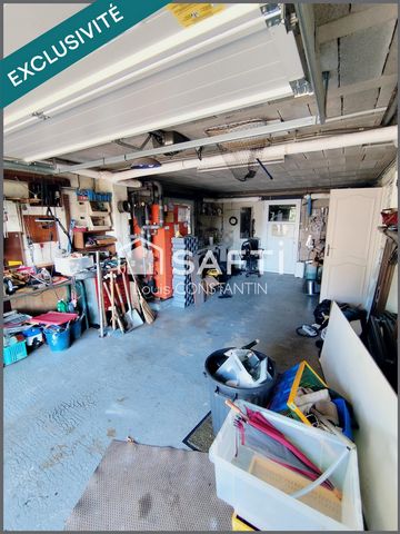 photo no. 12