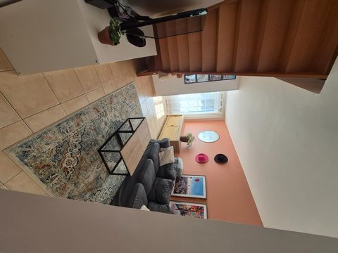 photo no. 3
