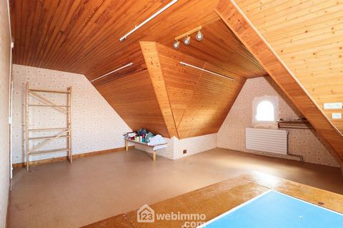 photo no. 19