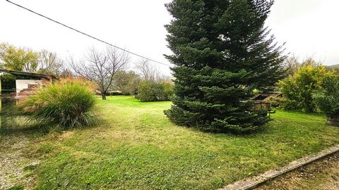 photo no. 14