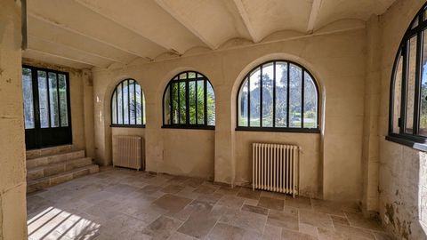 photo no. 12