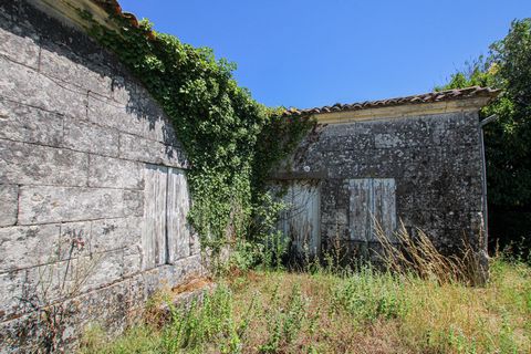 photo no. 4