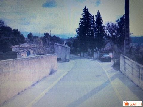 photo no. 16