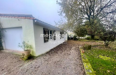 photo no. 13
