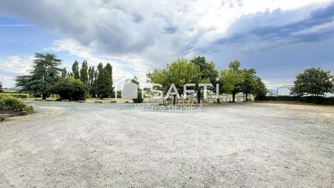 photo no. 16