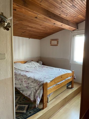photo no. 12