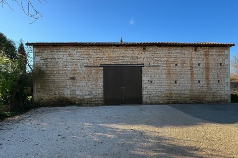 photo no. 16