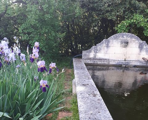 photo no. 19