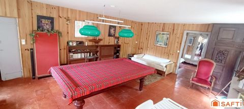photo no. 15