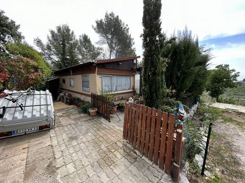 photo no. 15