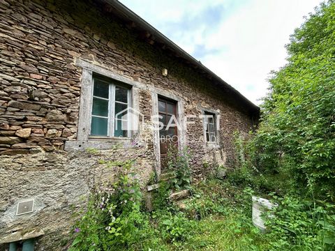 photo no. 6