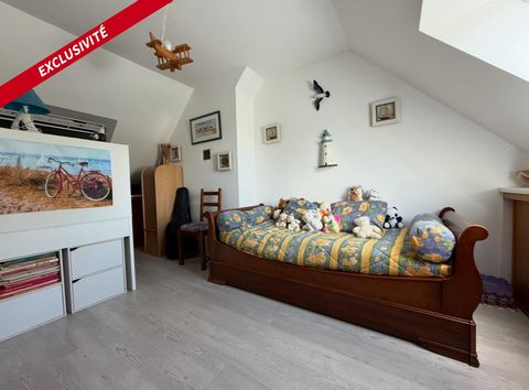 photo no. 12