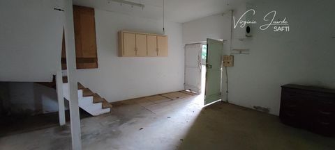 photo no. 2