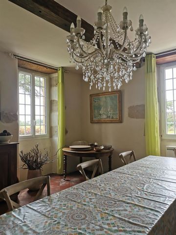 photo no. 8