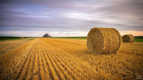 Terrain agricole