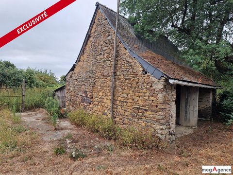 photo no. 10