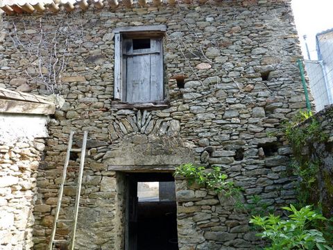 photo no. 19