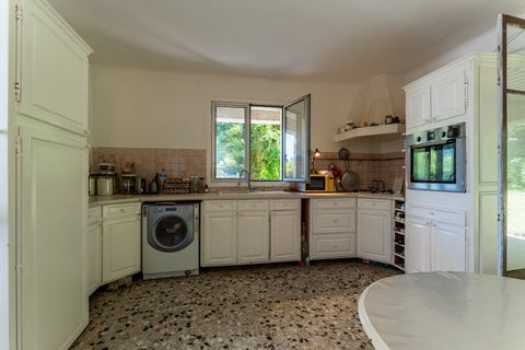 photo no. 14