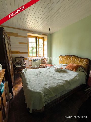 photo no. 5