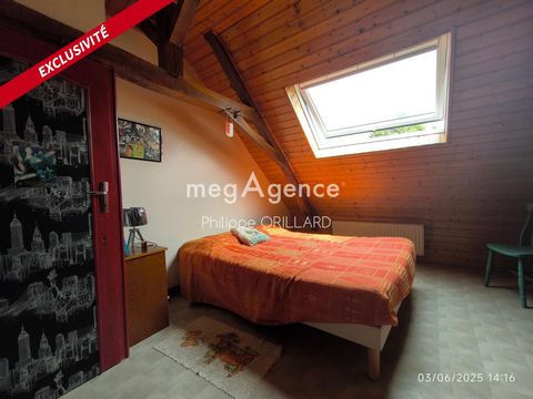 photo no. 6