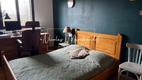 photo no. 8