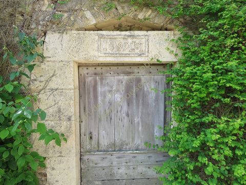 photo no. 3