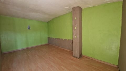 photo no. 6
