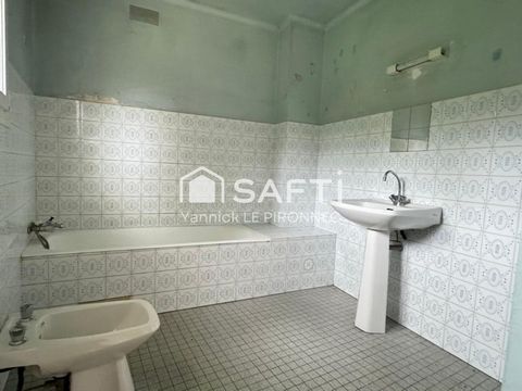 photo no. 6