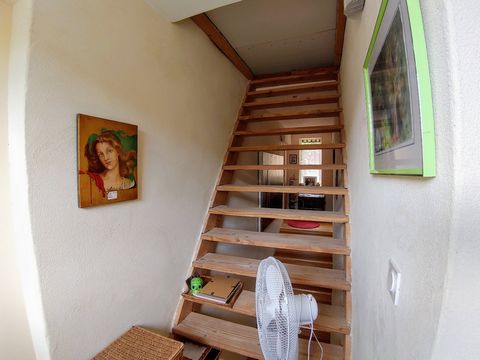 photo no. 23