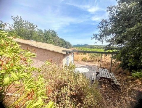 Cabanon avec forage sur parcelle agricole – secteur calme et très ensoleillé
