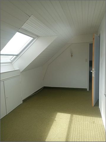 photo no. 10