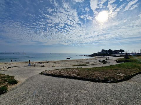 photo no. 6