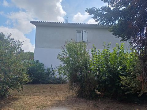 photo no. 17