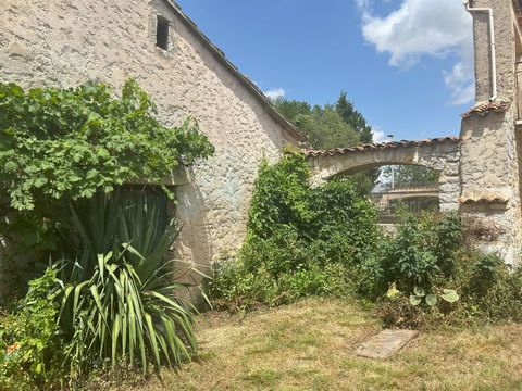 photo no. 15