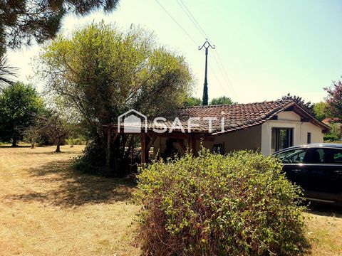 photo no. 11