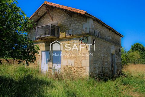 photo no. 10