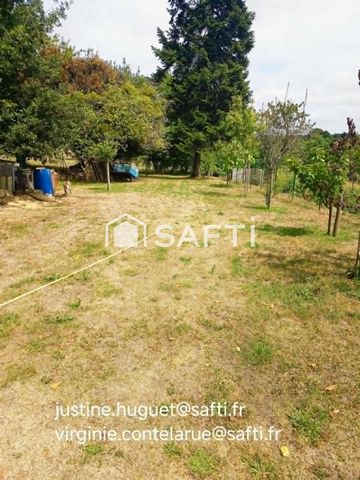 photo no. 11