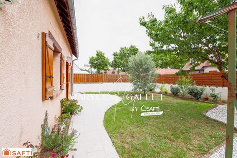 photo no. 13