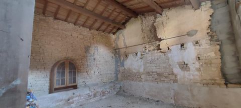 photo no. 9