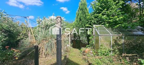 photo no. 13