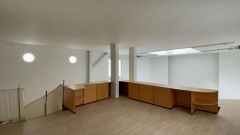 photo no. 12