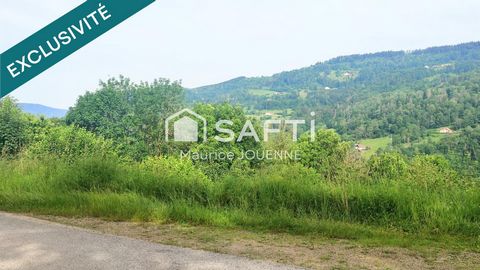 photo no. 10
